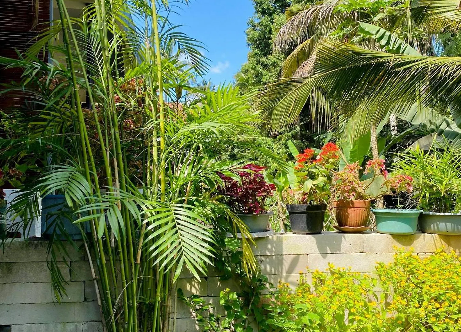 1Br Guesthouse Sayan,Ubud Apartment Ubud (Bali)